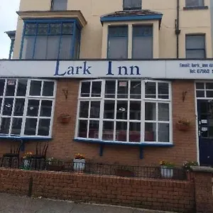 Lark Konukevi 3*